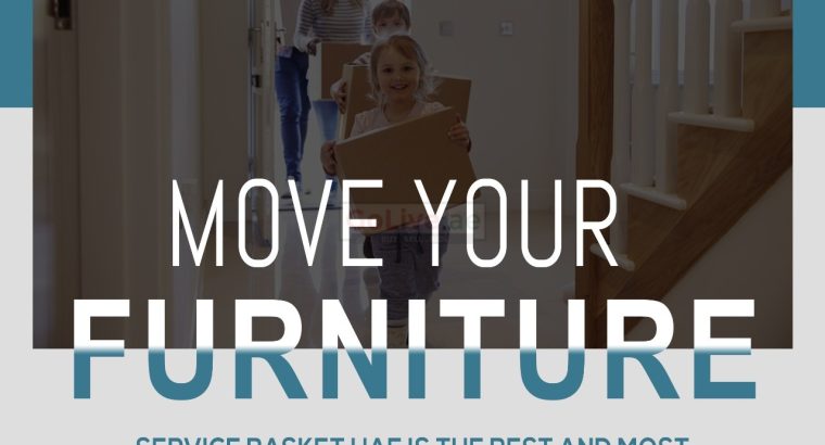 Service Basket UAE Villa Movers in JVT