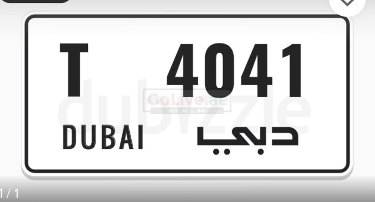 T4041