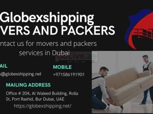 The best movers and packers in Dubai | Storage services Dubai