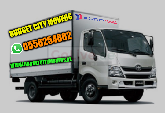 Professional Movers and Packers in abu dhabi