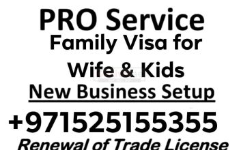 FAMILY VISA SERVICES For WIFE and Kids PRO SERVICES IN ALL UAE +971525155355