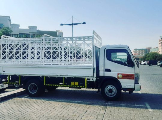 Movers Packers in motor City