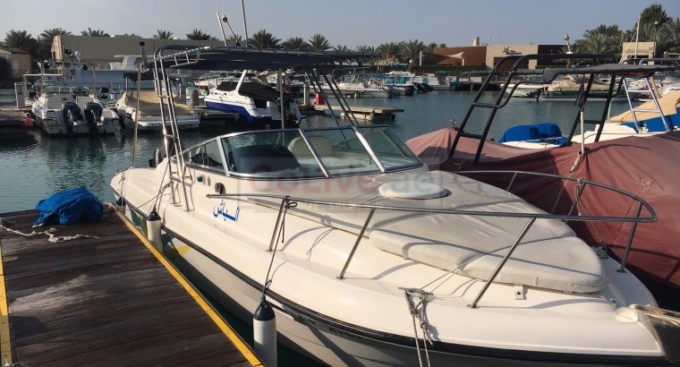 Gulf Craft Ambassador 25ft.