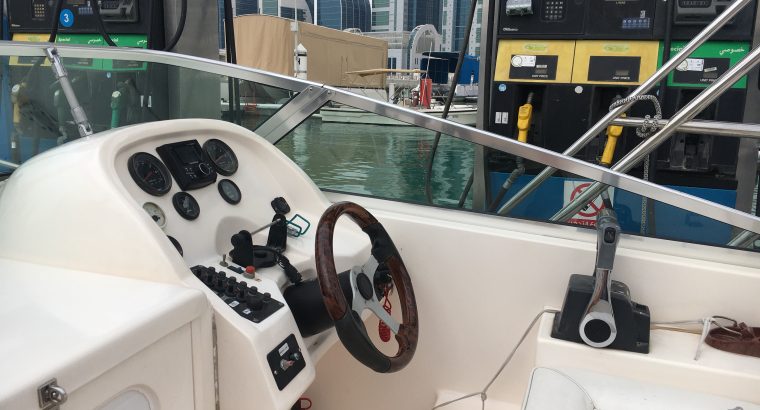 Gulf Craft Ambassador 25ft.