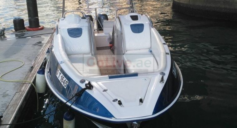 31 ft Speed Boat for Rent