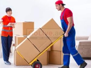 Movers and Packers in motor city