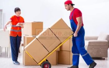 Movers and Packers in motor city