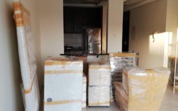 Movers and Packers service