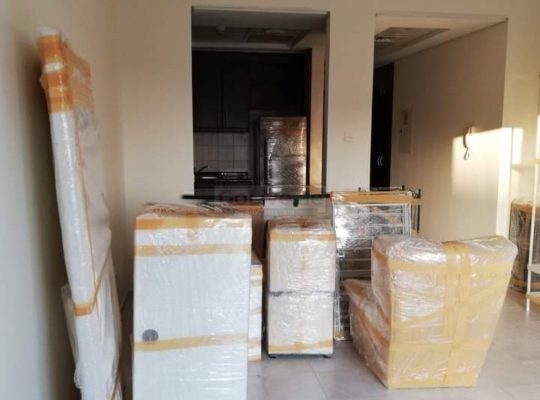 Movers and Packers service