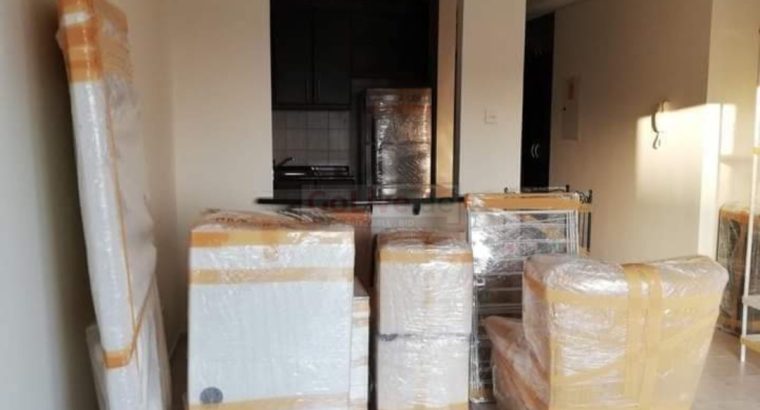 Movers and Packers service