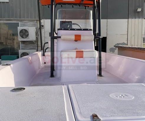 BOAT 20 FEET – BRAND NEW – WITH TRAILER AND CANOPY