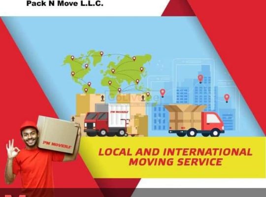 Professional Movers Packers dubai