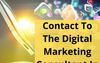 Contact To The Digital Marketing Consultant In Dubai
