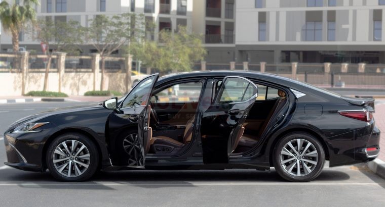 e-Man Car Rental
