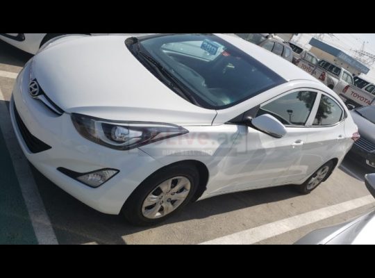Driver with car available 24/7