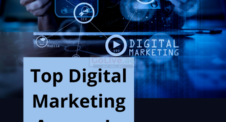 Hire The Digital Marketing Consultant In Dubai