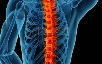 Best Back Pain Ayurvedic Treatment in Dubai