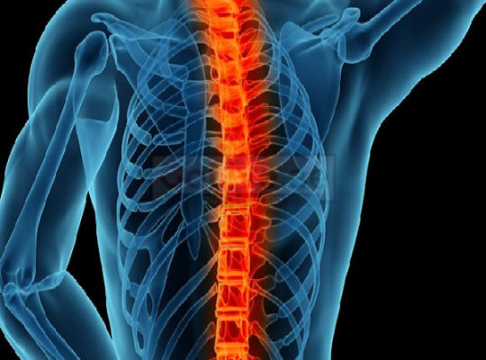 Best Back Pain Ayurvedic Treatment in Dubai