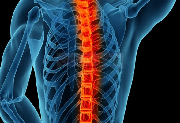 Best Back Pain Ayurvedic Treatment in Dubai