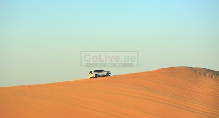 The Best Desert Safari Deals in Dubai