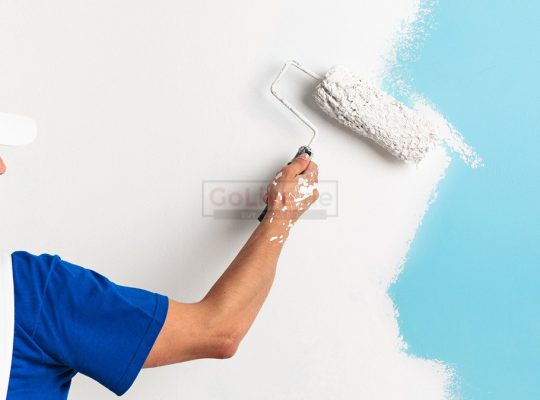 UAE’s Best Paints Sevices