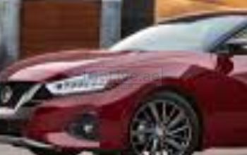 JVC to JLT Carlift morning 7am available