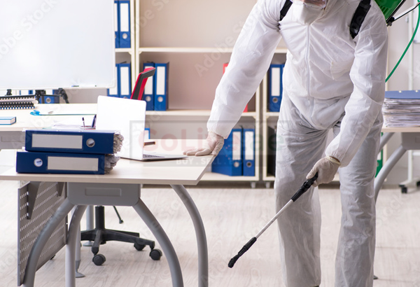Low Cost Pest Control Services Al Barsha