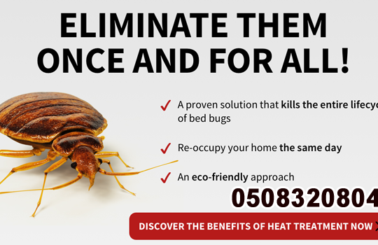 Low Cost Pest Control Bur Dubai