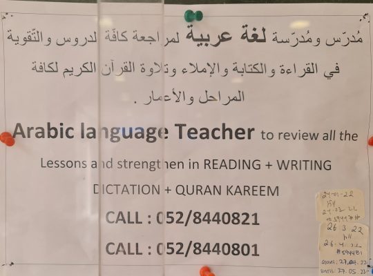 Arabic Language Teacher in Mirdif Dubai ( Quran Teacher in dubai )