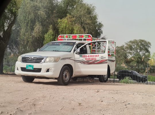 Movers in Arabian Ranches Dubai ( Dubai movers and packers)