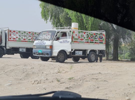 Arabian ranches dubai Movers and Packers services