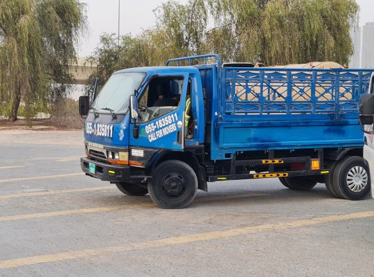 Springs 12 pickup rental ( movers and packers services)
