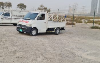 Dubai springs and meadows area movers and packers services