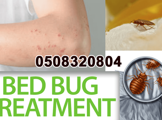 Low Cost Pest Control Al-Karama