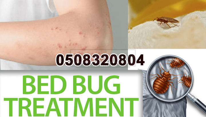 Low Cost Pest Control JBR
