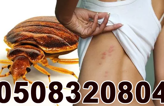 Low Cost Pest Control Al-Karama