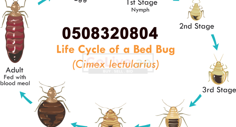 Low Cost Pest Control Bur Dubai