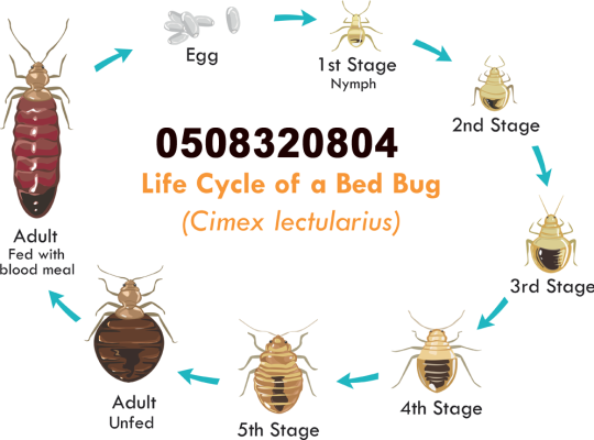 Low Cost Pest Control Al-Karama