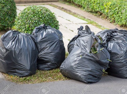 Green Waste Removal Service Dubai