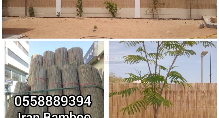 Bamboo Fencing for Garden