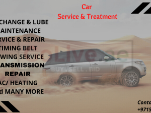 Range Rover and Mercedes repairing services in Dubai