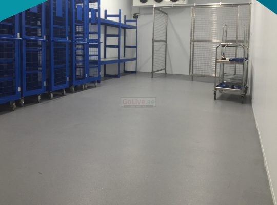 Professional Epoxy Flooring Work Company Sharjah