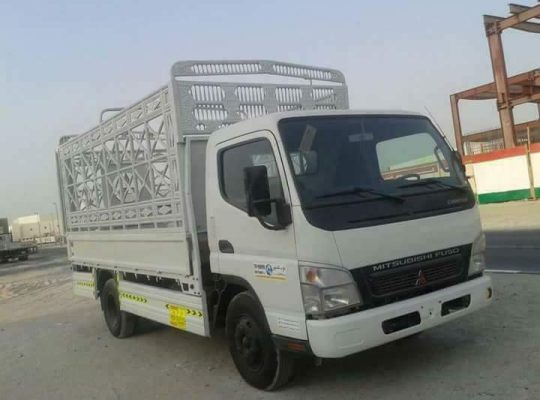 Movers packers service in Dubai