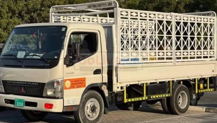 Movers pickers sirvce in Dubai