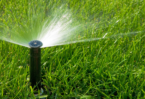 SWIMMING POOL – IRRIGATION – LANDSCAPING AND BUILDING MAINTENANCE