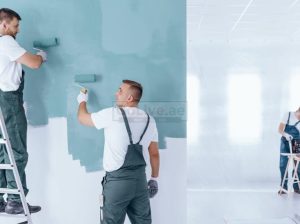LOW COST AND BEST PROFESSIONAL PAINTS SERVICES IN DUBAI AND UAE