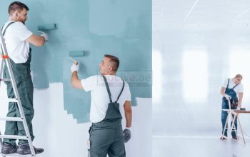 LOW COST AND BEST PROFESSIONAL PAINTS SERVICES IN DUBAI AND UAE