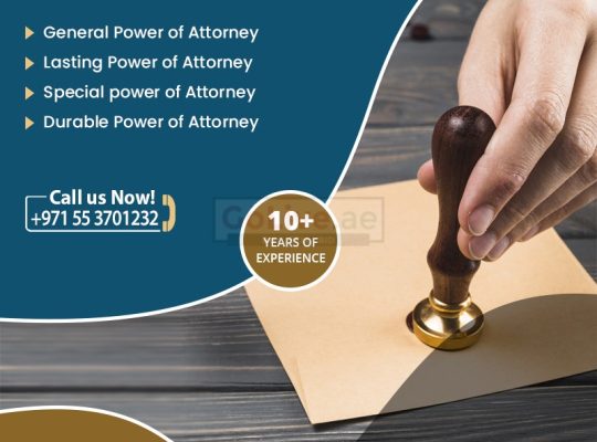 Power of Attorney Drafting and Notarization services