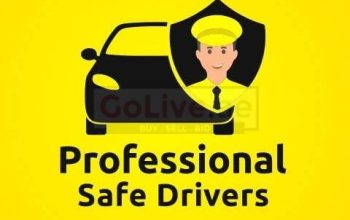 Safe Driver in Dubai