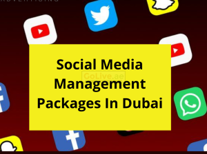 Do You Want The Social Media Management Packages In Dubai?